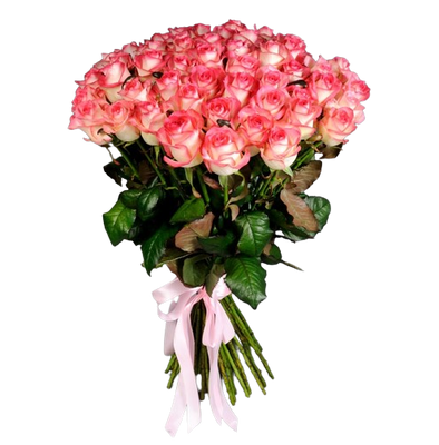 Букет із 101 рожевої троянди 16008 фото