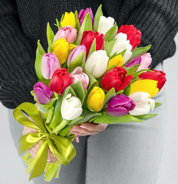 25 різнокольорових тюльпанів 19004 фото