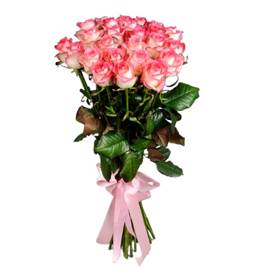 Букет из 25 розовых роз 16009 фото