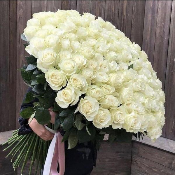 Букет 101 белая роза, 90-100 см (Эквадор) 16070 фото