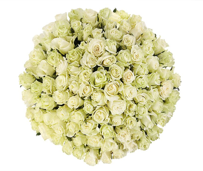 Букет 101 белая роза, 90-100 см (Эквадор) 16070 фото